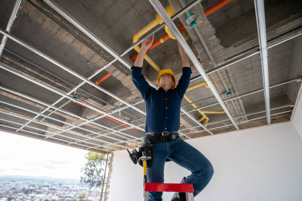 Best Plumbing Inspection Services  in Apple Valley, CA